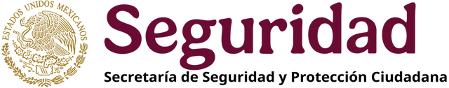Seguridad Publica